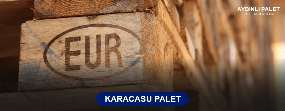 Karacasu Paletçi