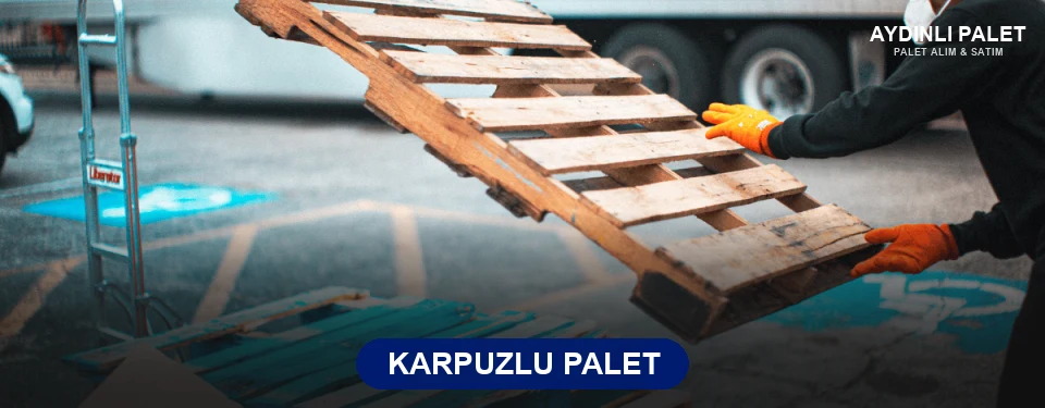 Karpuzlu Paletçi Karpuzlu Paletçi