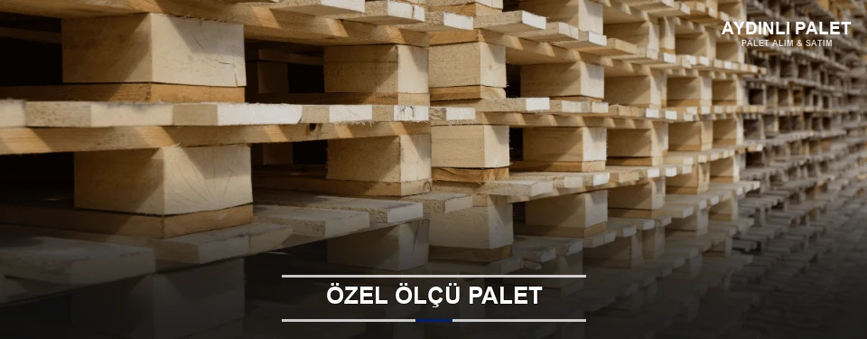 Aydınlı Projeye Özel Palet